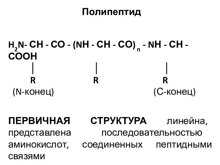 Полипептид H2N- СН - СО - (NН - СН -