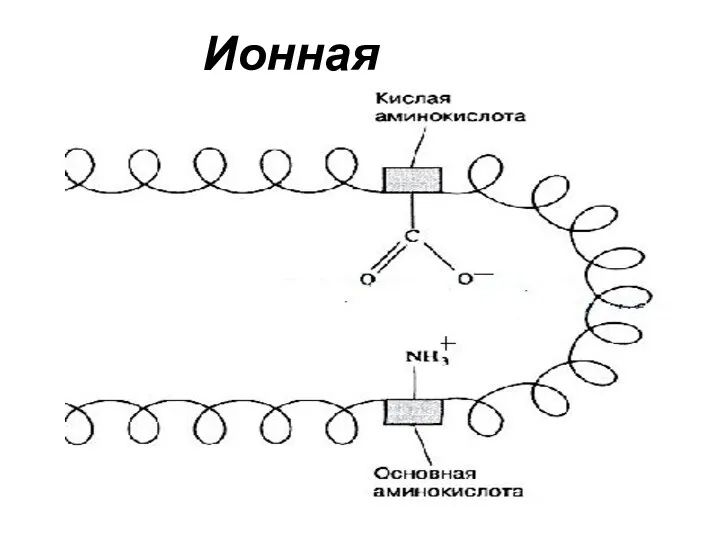 Ионная связь