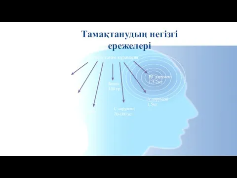 Тамақтанудың негізгі ережелері Күндік тағам құрамына Белок 100 гр Көміртегі