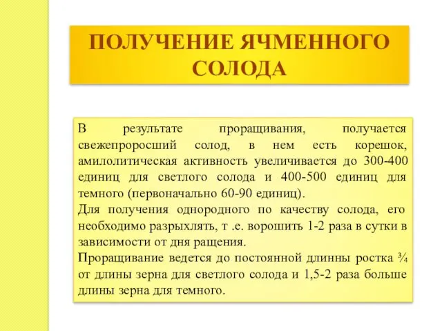 ПОЛУЧЕНИЕ ЯЧМЕННОГО СОЛОДА В результате проращивания, получается свежепроросший солод, в