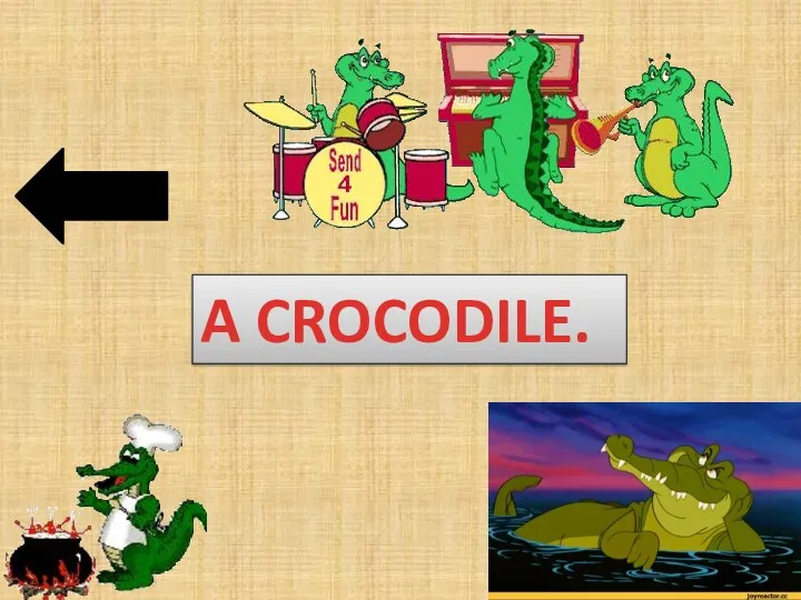 A CROCODILE.