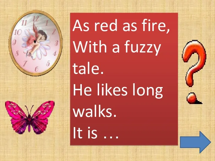 As red as fire, With a fuzzy tale. He likes long walks. It is …