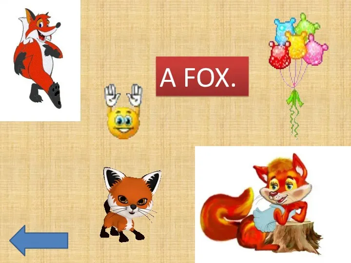 A FOX.