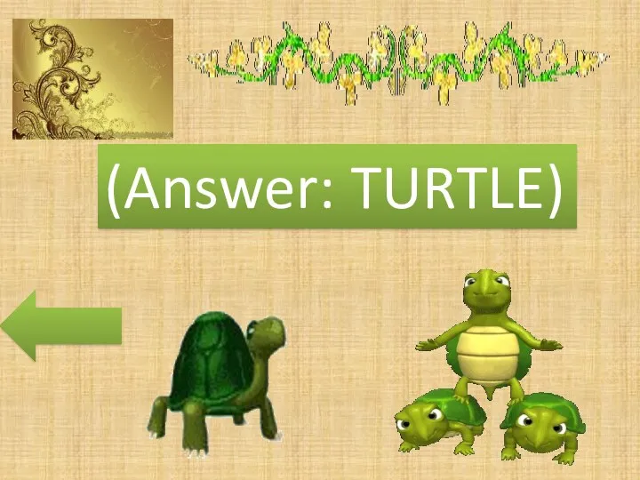 (Answer: TURTLE)