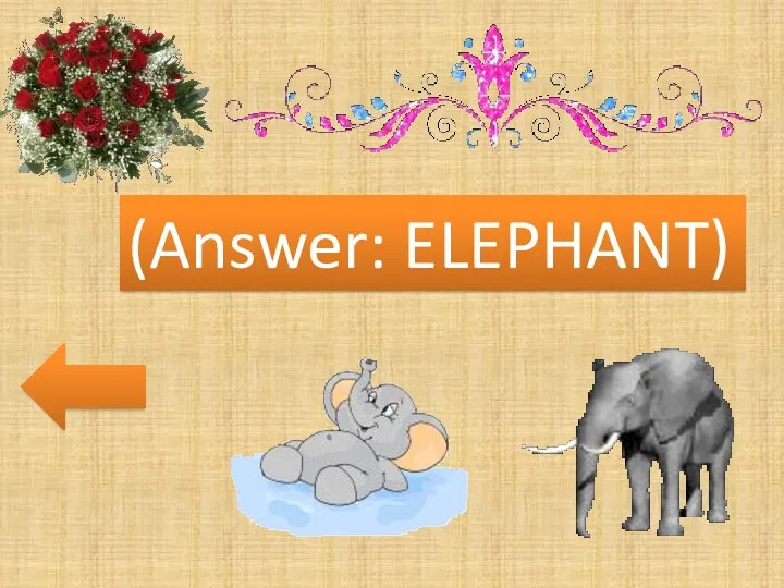 (Answer: ELEPHANT)