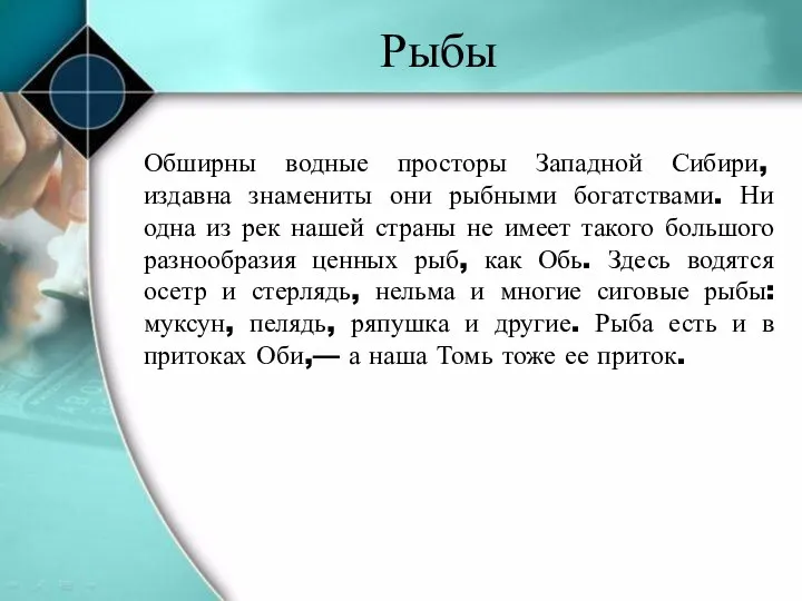 Обширны водные просторы Западной Сибири, издавна знамениты они рыбными богатствами.