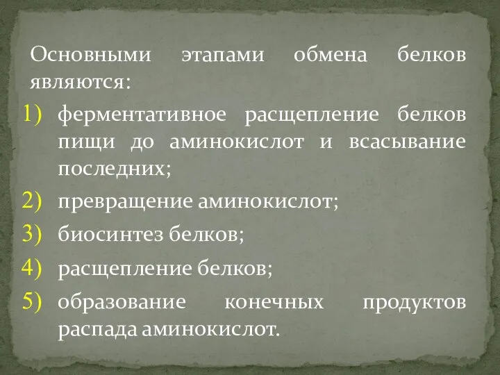 Основными этапами обмена белков являются: ферментативное расщепление белков пищи до аминокислот и всасывание