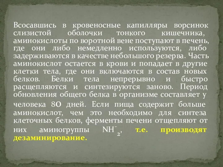 Всосавшись в кровеносные капилляры ворсинок слизистой оболочки тонкого кишечника, аминокислоты по воротной вене