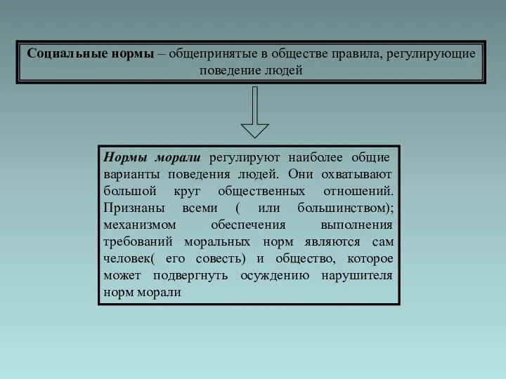 Социальные нормы – общепринятые в обществе правила, регулирующие поведение людей