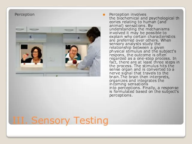 III. Sensory Testing Perception Perception involves the biochemical and psychological