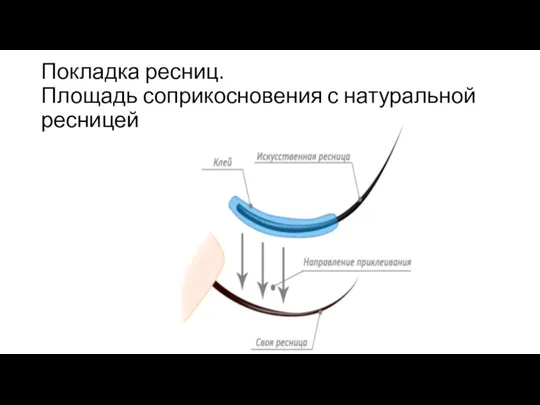 Покладка ресниц. Площадь соприкосновения с натуральной ресницей