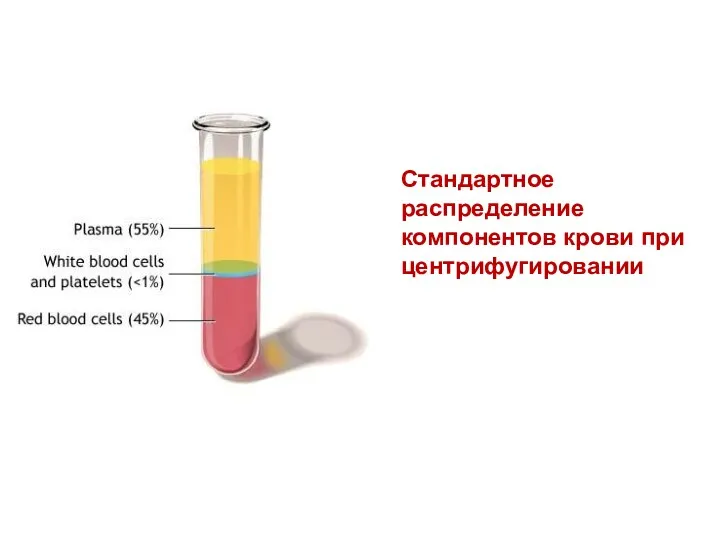 Стандартное распределение компонентов крови при центрифугировании
