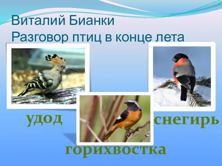 Виталий Бианки Разговор птиц в конце лета удод снегирь горихвостка