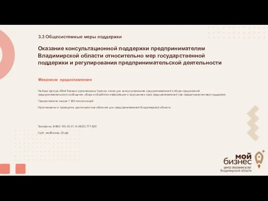 Общесистемные меры поддержки 3.3 Механизм предоставления На базе Центра «Мой