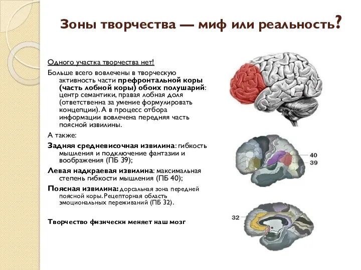 Зоны творчества — миф или реальность? Одного участка творчества нет!