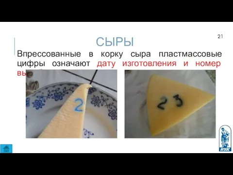 СЫРЫ Впрессованные в корку сыра пластмассовые цифры означают дату изготовления и номер выработки сыра