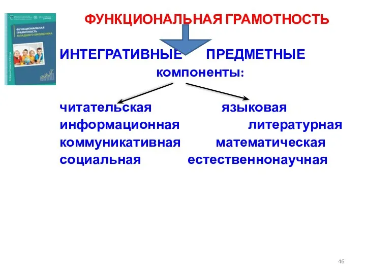 ФУНКЦИОНАЛЬНАЯ ГРАМОТНОСТЬ ИНТЕГРАТИВНЫЕ ПРЕДМЕТНЫЕ компоненты: читательская языковая информационная литературная коммуникативная математическая социальная естественнонаучная