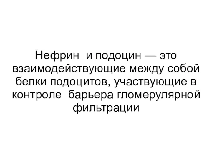 Нефрин и подоцин — это взаимодействующие между собой белки подоцитов, участвующие в контроле барьера гломерулярной фильтрации