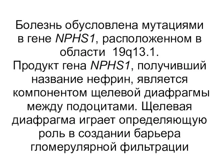 Болезнь обусловлена мутациями в гене NPHS1, расположенном в области 19q13.1.