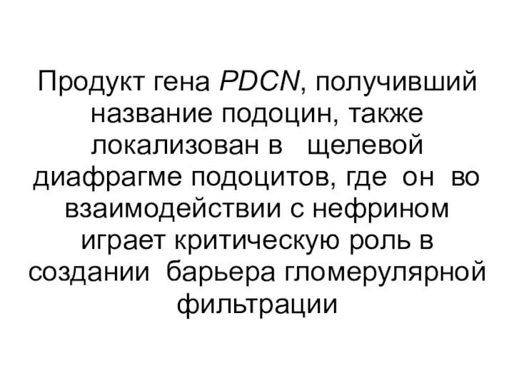 Продукт гена PDCN, получивший название подоцин, также локализован в щелевой