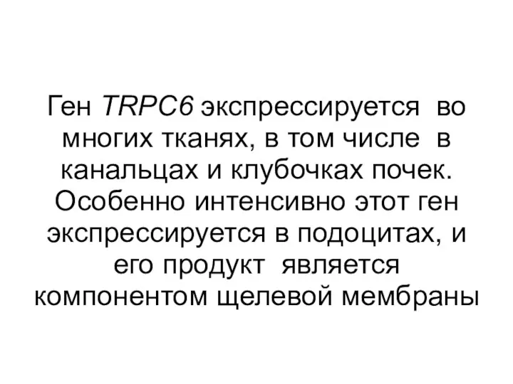 Ген TRPC6 экспрессируется во многих тканях, в том числе в