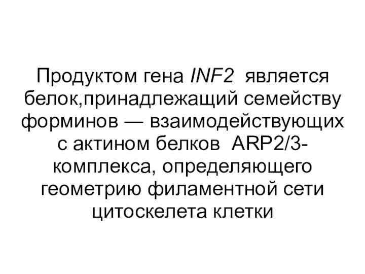 Продуктом гена INF2 является белок,принадлежащий семейству форминов ― взаимодействующих с