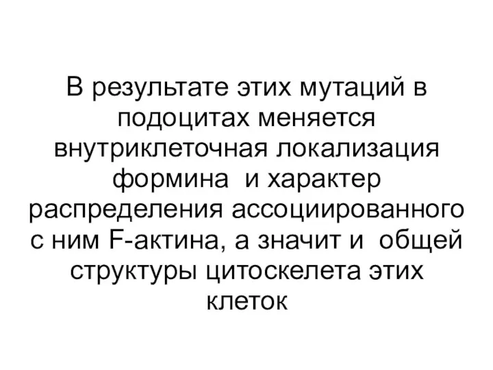 В результате этих мутаций в подоцитах меняется внутриклеточная локализация формина