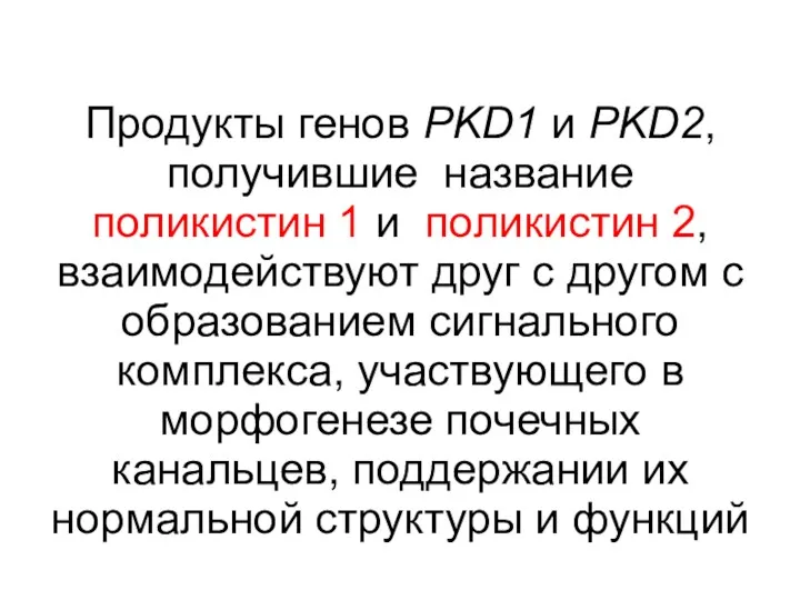 Продукты генов PKD1 и PKD2, получившие название поликистин 1 и