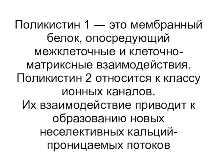 Поликистин 1 ― это мембранный белок, опосредующий межклеточные и клеточно-матриксные