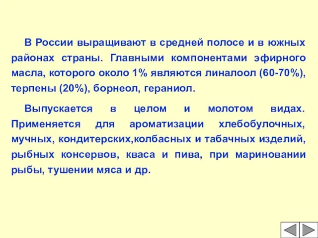 В России выращивают в средней полосе и в южных районах