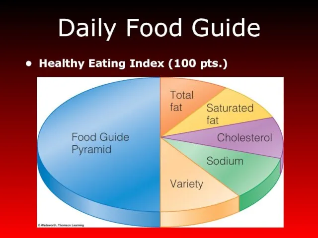 Daily Food Guide Healthy Eating Index (100 pts.)