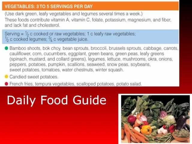Daily Food Guide