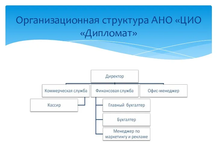 Организационная структура АНО «ЦИО «Дипломат»