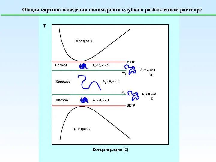 Общая картина поведения полимерного клубка в разбавленном растворе