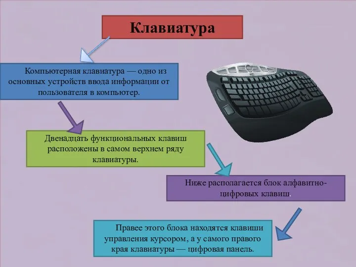 Клавиатура Компьютерная клавиатура — одно из основных устройств ввода информации