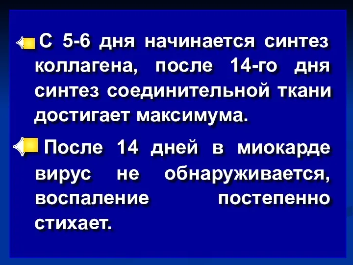 С 5-6 дня начинается синтез коллагена, после 14-го дня синтез