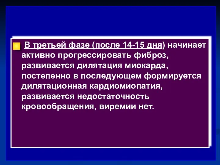 В третьей фазе (после 14-15 дня) начинает активно прогрессировать фиброз,