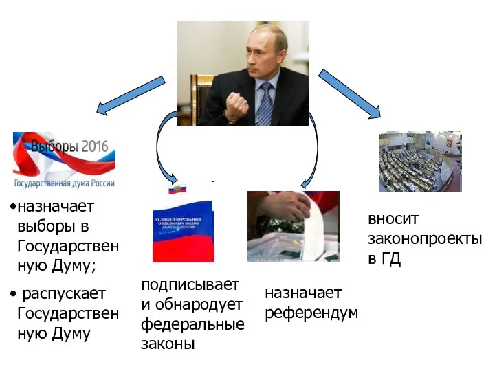 назначает выборы в Государственную Думу; распускает Государственную Думу назначает референдум