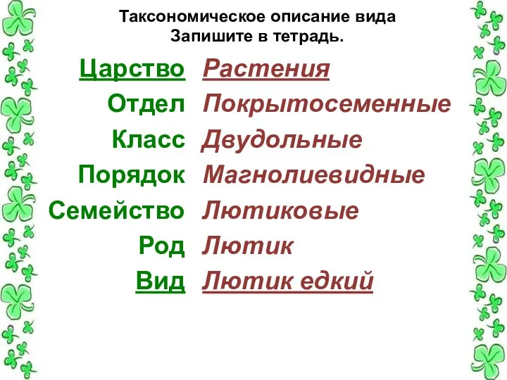 Таксономическое описание вида Запишите в тетрадь. Царство Отдел Класс Порядок