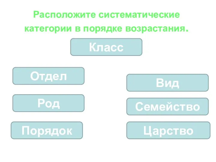 Расположите систематические категории в порядке возрастания. Класс Царство Отдел Род Семейство Вид Порядок