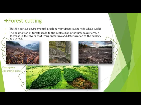 Forest cutting Тhis is a serious environmental problem, very dangerous