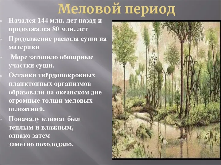 Меловой период Начался 144 млн. лет назад и продолжался 80