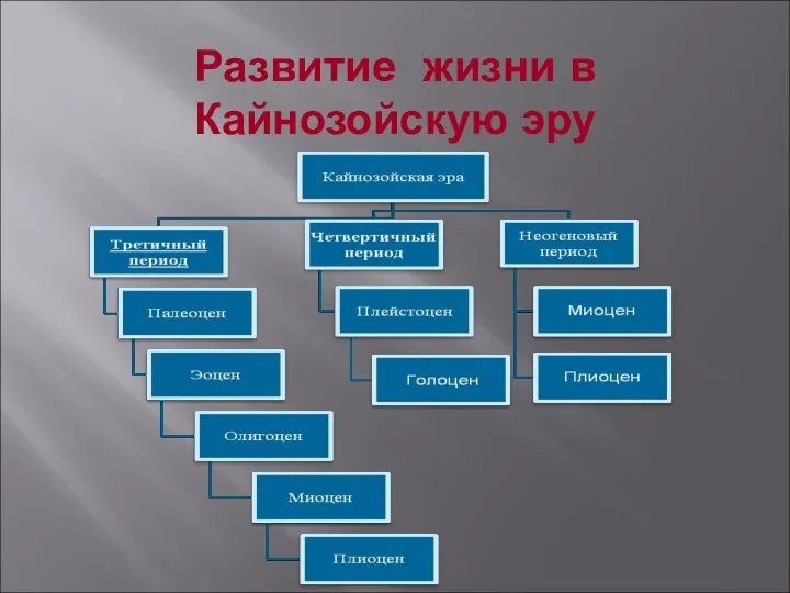 Развитие жизни в Кайнозойскую эру