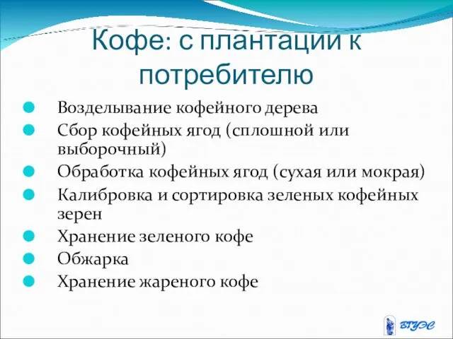 Кофе: с плантации к потребителю Возделывание кофейного дерева Сбор кофейных