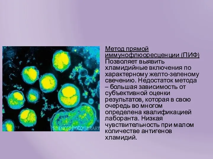 Метод прямой иммунофлюоресценции (ПИФ) Позволяет выявить хламидийные включения по характерному желто-зеленому свечению. Недостаток