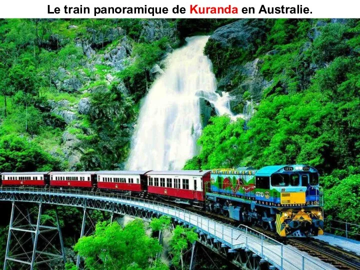 Le train panoramique de Kuranda en Australie.