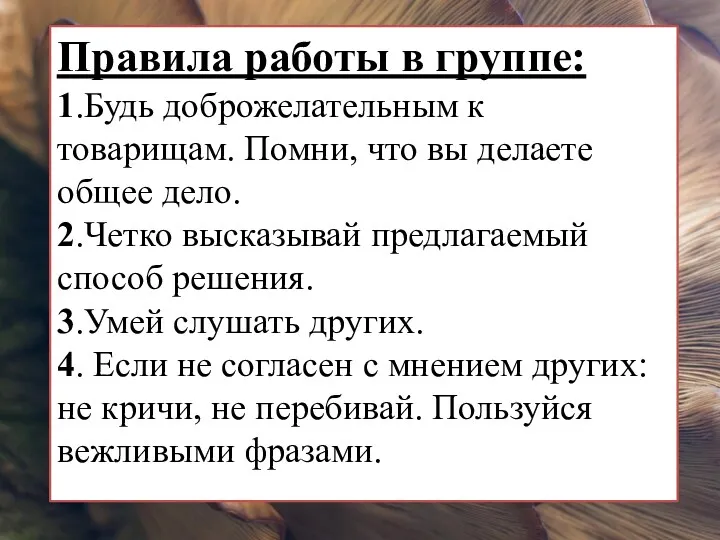 Правила работы в группе: 1.Будь доброжелательным к товарищам. Помни, что вы делаете общее