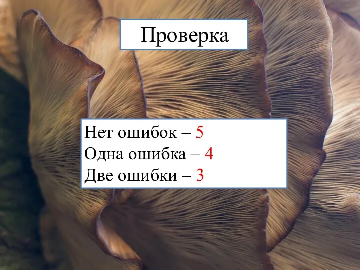 Проверка Нет ошибок – 5 Одна ошибка – 4 Две ошибки – 3