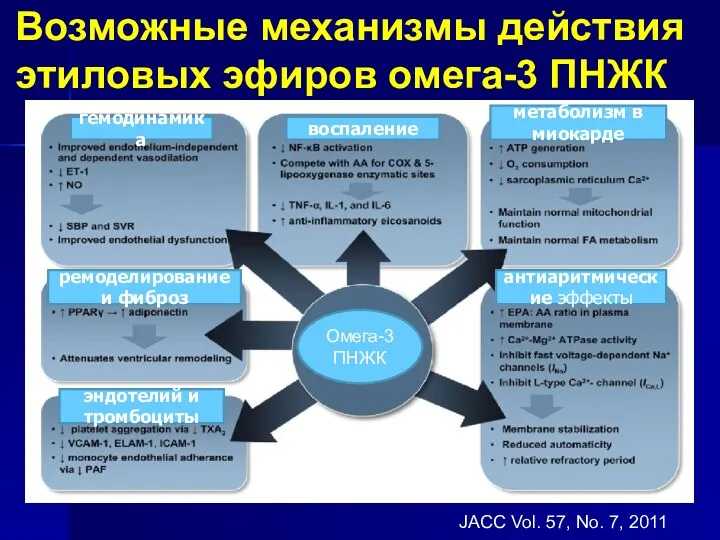 Возможные механизмы действия этиловых эфиров омега-3 ПНЖК JACC Vol. 57,