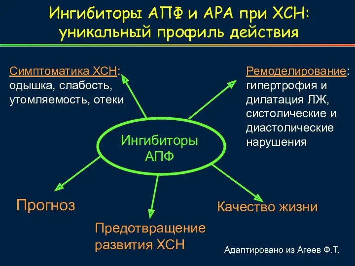 Симптоматика ХСН: одышка, слабость, утомляемость, отеки Ремоделирование: гипертрофия и дилатация